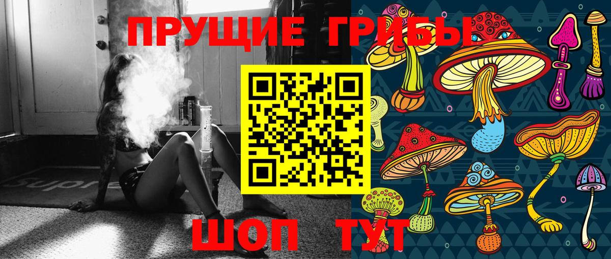 Псилоцибиновые грибы GOLDEN TEACHER Ртищево